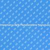 Fognature: Manutenzione Essenziale