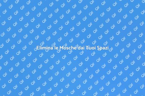 Disinfestazione Mosche per Esterni