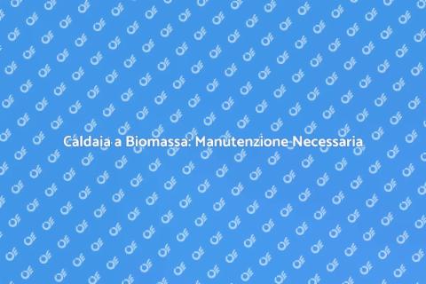 Manutenzione Caldaia a Biomassa