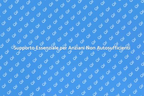 Assistenza Lunga per Anziani Non Autosufficienti