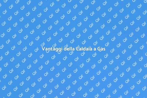 Caldaia a Gas: Comfort e Efficienza