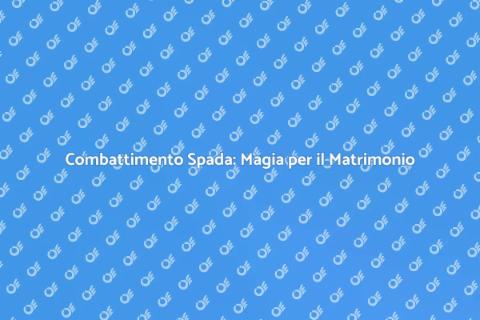 Animazione Matrimonio: Spade e Amore