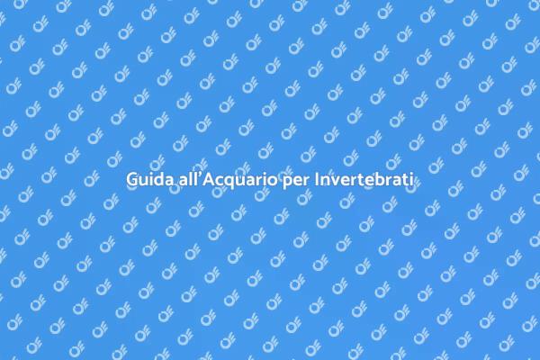 L'Acquario Perfetto per Invertebrati