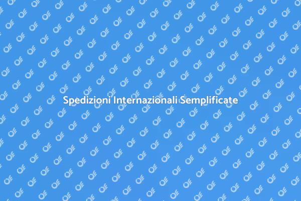 Il Tuo Partner per Spedizioni Internazionali