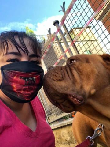 Mary Pet Sitter - Foto 6