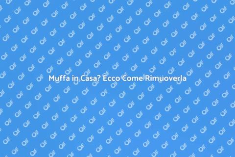 Rimozione della Muffa: Guida Completa