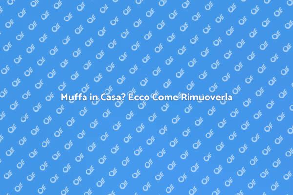 La Soluzione alla Muffa in Casa