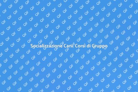 Addestramento Cani in Gruppo Efficace