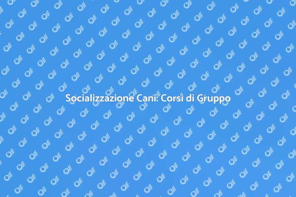 Addestramento Efficace per Cani in Gruppo