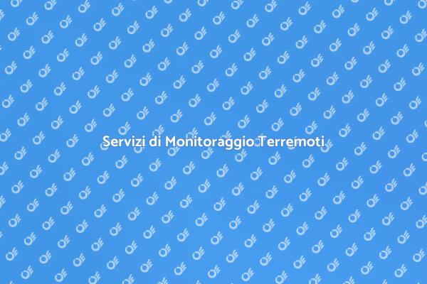 Monitoraggio Efficiente dei Danni da Terremoto