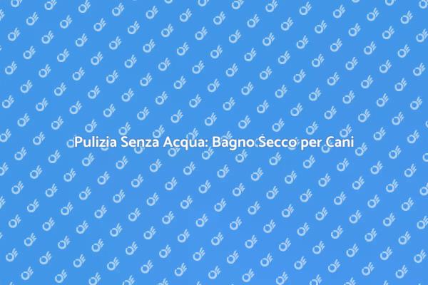 Coccole per Cani: Bagno Secco Innovativo