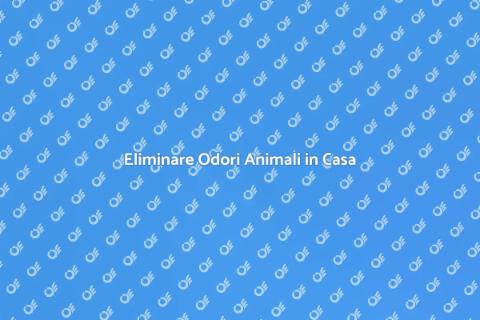 Rimuovere Odori Animali Domestici