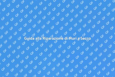 Riparare un Muro a Secco Facile