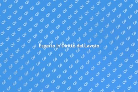 Avvocato Diritto del Lavoro Esperto