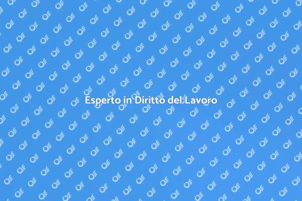 Importanza di un Avvocato Lavoro