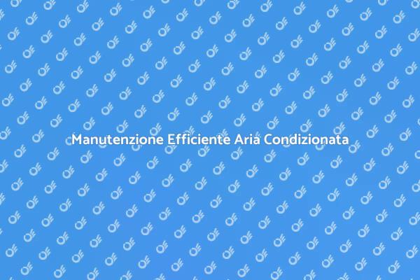 Manutenzione Professionale Aria Condizionata