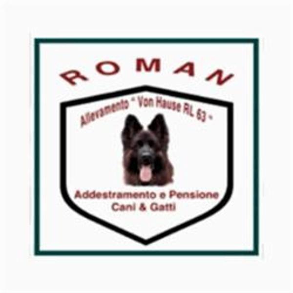Scuola di Addestramento Roman Sas - Foto 1