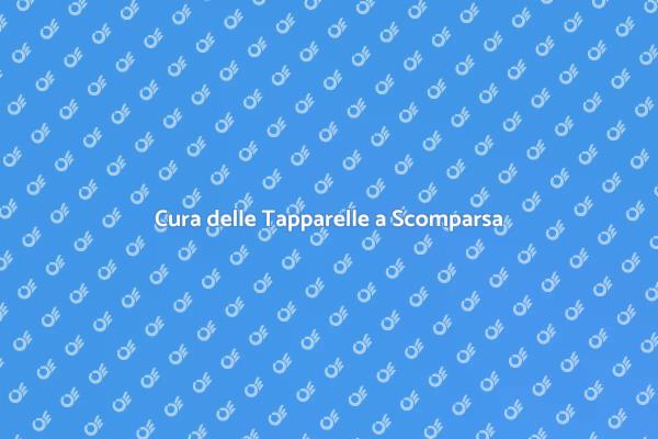 Come Mantenere le Tapparelle a Scomparsa