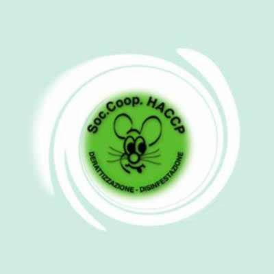 Haccp  - Foto 2
