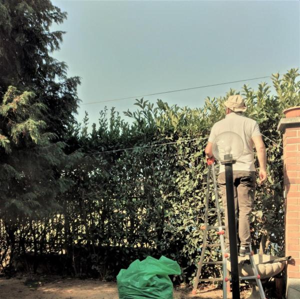 Salvatore - Foto 2