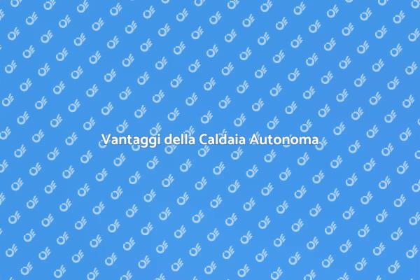 Guida alla Caldaia per Riscaldamento