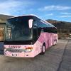 Casucci Bus 
