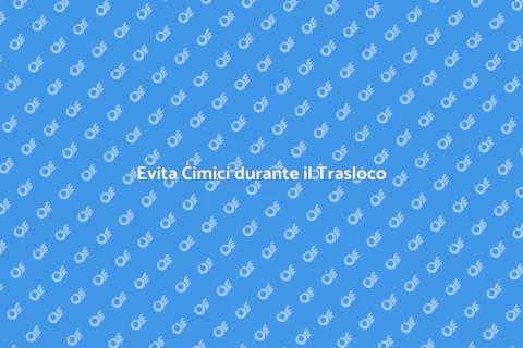 Prevenire Cimici da Traslochi