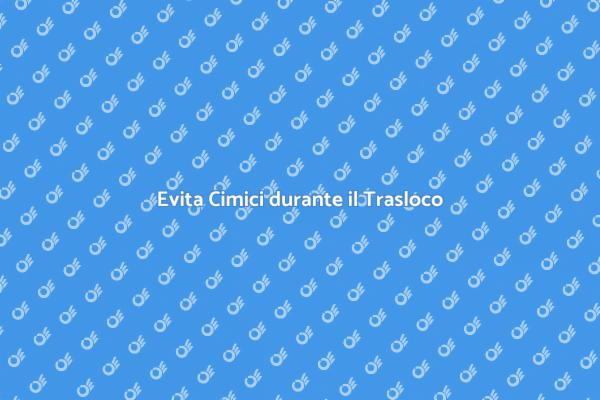 Proteggi la Tua Casa da Cimici
