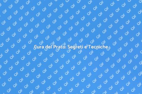 Prato Perfetto: Guida alla Cura