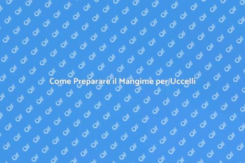 Mangime Uccelli: Guida alla Preparazione