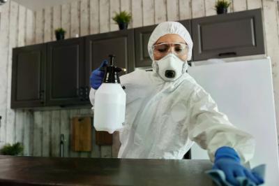 Azienda di disinfestazione: come trovarla ed assumerla