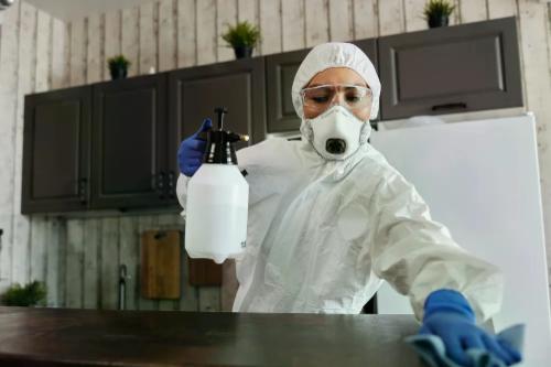 Azienda di disinfestazione: come trovarla