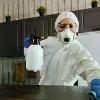 Azienda di disinfestazione: come trovarla
