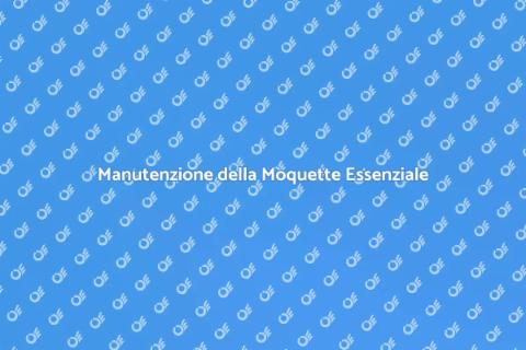 Pulizia e Sostituzione Moquette
