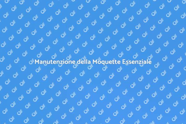Moquette: Pulizia e Sostituzione Necessaria