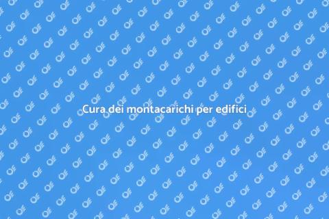 Manutenzione montacarichi per edifici