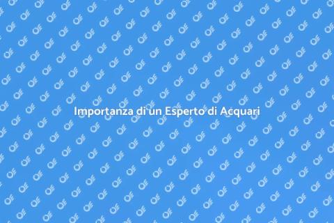 Esperto di Acquari: Guida Completa