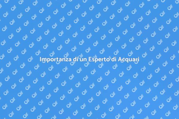Creare un Acquario Sano e Bello
