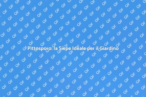 Siepe di Pittosporo: il Verde Perfetto