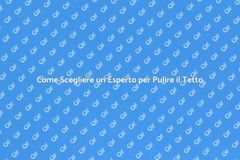 Ingaggiare un Professionista per Pulizia Tetto