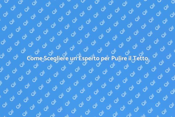 Scegliere il Professionista Giusto per il Tetto