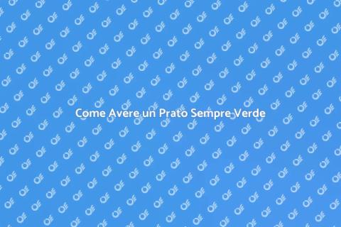 Manutenzione del Prato Perfetto