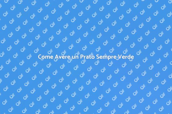 Manutenzione Prato: Il Tuo Giardino Ideale