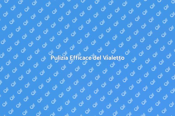 Rendi Splendente il Tuo Vialetto