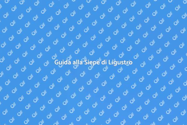 Come Coltivare una Siepe di Ligustro