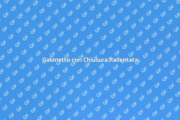 Guida all'Installazione del Gabinetto