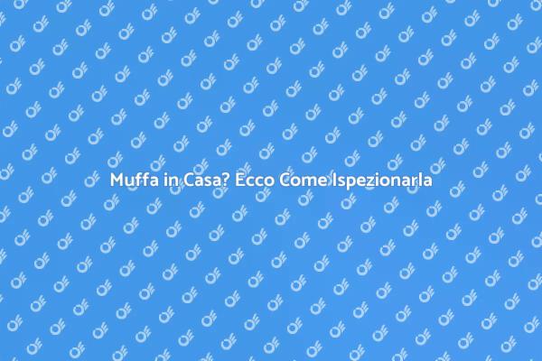 Muffa: Ispezione per la Salute della Casa