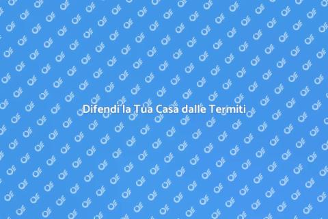 Trattamento Termiti: Proteggi la Tua Casa
