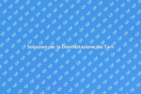 Disinfestazione dei Tarli Efficace