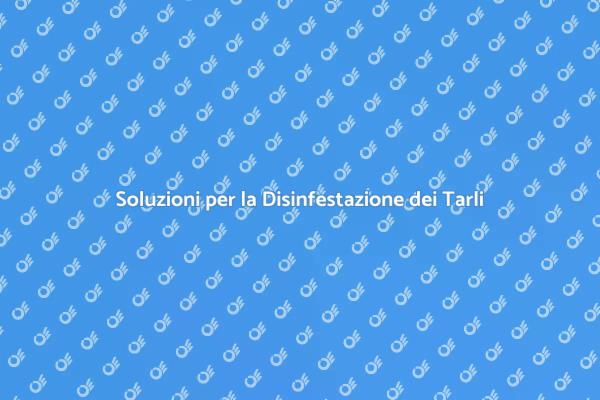 Come Liberarsi dai Tarli Efficacemente